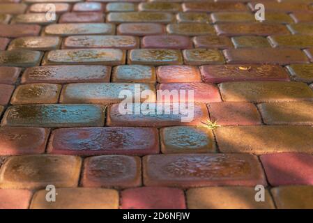 pink paving slab after rain for background Stock Photo