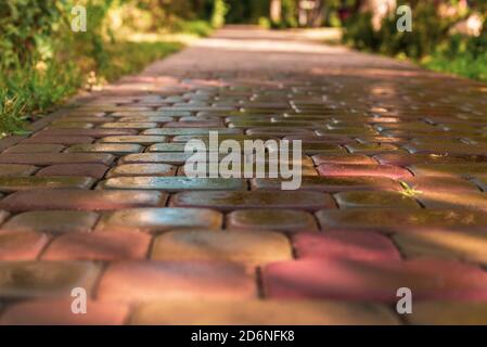 pink paving slab after rain for background Stock Photo