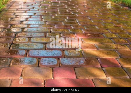 pink paving slab after rain for background Stock Photo