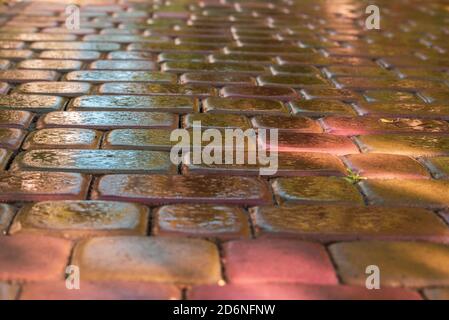 pink paving slab after rain for background Stock Photo