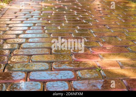 pink paving slab after rain for background Stock Photo