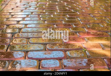 pink paving slab after rain for background Stock Photo