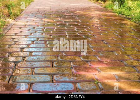 pink paving slab after rain for background Stock Photo