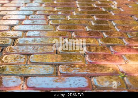 pink paving slab after rain for background Stock Photo