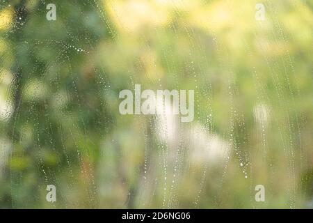 Window cleaning with detergent, background texture - chemical soap detergent Stock Photo