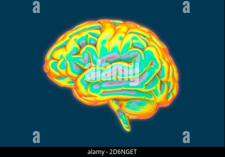 3D illustration Brain temperature MRI simulation isolated on dark blue ...