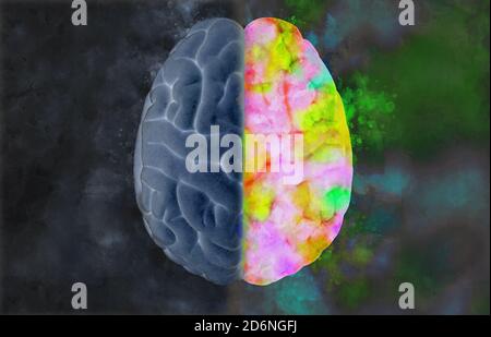 3D human brain rendering in top view with left and right concept in watercolor style on dark background Stock Photo