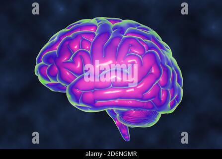 3D illustration Brain temperature MRI simulation isolated on dark blue ...