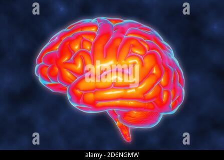 3D illustration Brain temperature MRI simulation isolated on dark blue ...