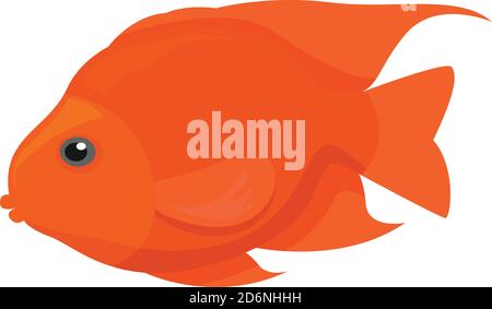 Orange fish, illustration, vector on white background Stock Vector