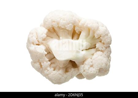 sprig of cauliflower of fresh vegetable ripe piece of vegetarian food isolated on white background view from bottom, nobody. Stock Photo