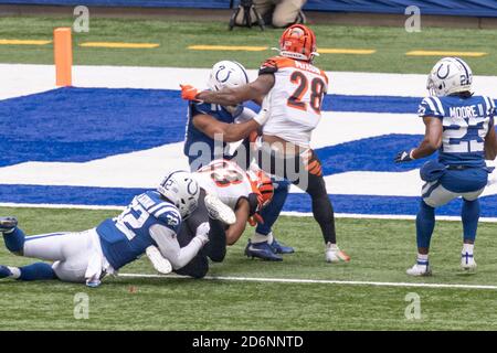 INDIANAPOLIS, IN - NOVEMBER 28: Indianapolis Colts safety Julian