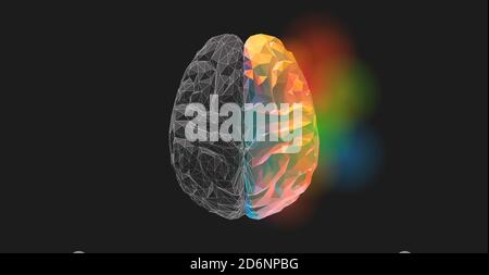 Brain low poly graphic illustration in top view on dark background with monochrome left and colorful right functions concept Stock Photo