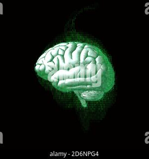 Brain side view with binary digital code AI conceptual in glowing green  color isolated on dark background Stock Photo