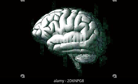 Brain side view with binary digital code AI conceptual in glowing green  color isolated on dark background Stock Photo