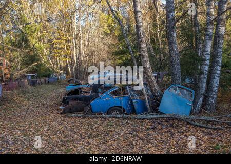 Car cemetery during autumn in Sweden Stock Photo