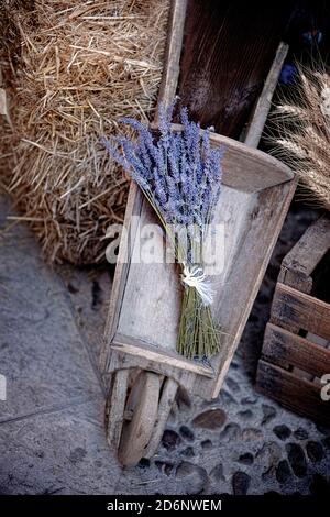 a bouquet of lavender flowers in an old wheelbarrow vertical Stock Photo
