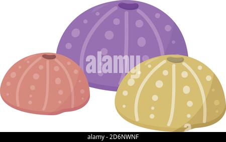 Sea urchin shell, illustration, vector on white background Stock Vector