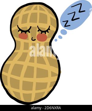 Sleeping peanut in a shell, illustration, vector on white background Stock Vector