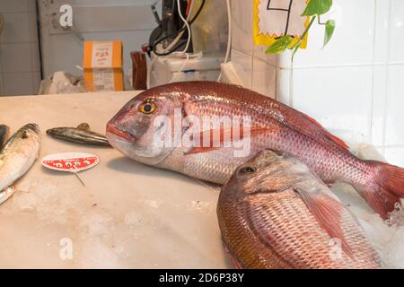 Two Red snappers at Fishmonger in covered market of Tarifa, Costa de la luz, Andalucía, Spain Stock Photo