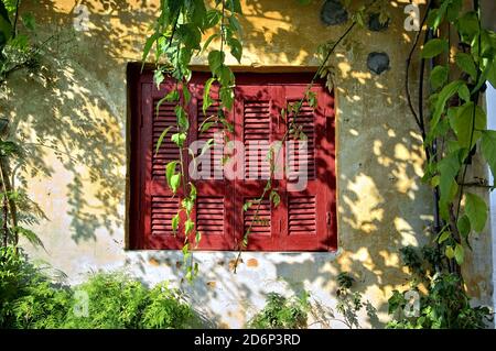 a window with red shutters closed in a garden Stock Photo