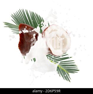 coconut halves with milk splash isolated on a white background. Stock Photo