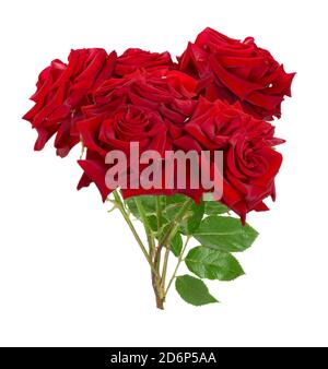 red rose bouquet isolated on a white background. Stock Photo