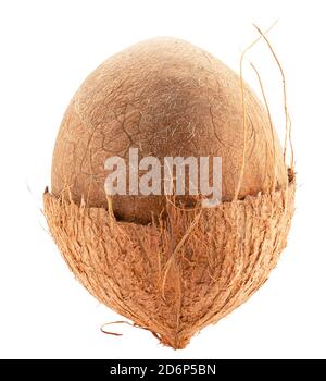 coconut without shell isolated on a white background. Stock Photo