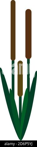 Little bamboo, illustration, vector on white background. Stock Vector