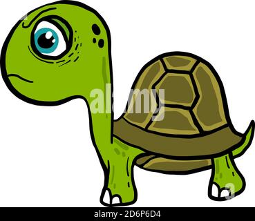 Green turtle, illustration, vector on white background. Stock Vector