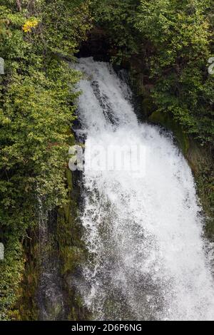 The upper section of Mill Creek Falls as it rushes out of thick natural forest land to plunge downward to the Rogue River in Prospect, Oregon. Stock Photo