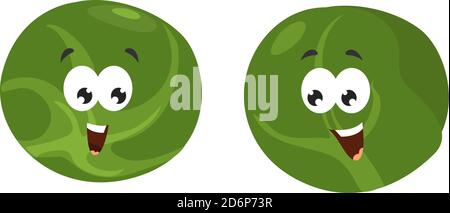 Brussels sprout, illustration, vector on white background. Stock Vector