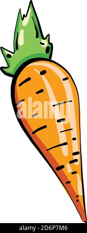 Small carrot, illustration, vector on white background. Stock Vector