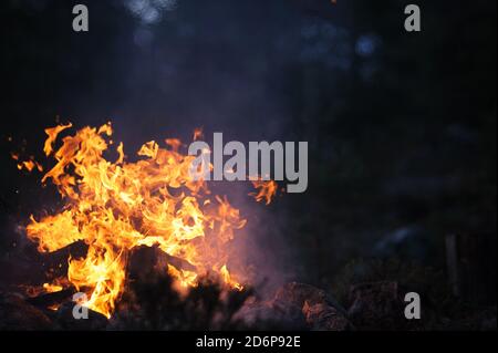 A vibrant campfire burning with flames and wood logs outdoors Stock ...