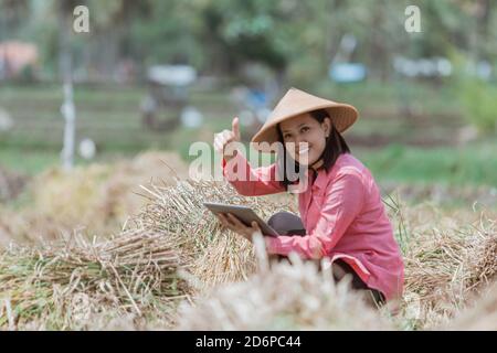 female farmers wear a hat with a thumbs up when squatting using a tablet in the rice fields Stock Photo