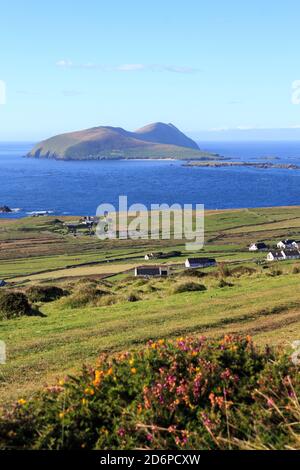 The Great Blasket Island viewed from the slopes of Cruach Mhárthain on the Dingle Peninsula along the Wild Atlantic Way in Ireland Stock Photo