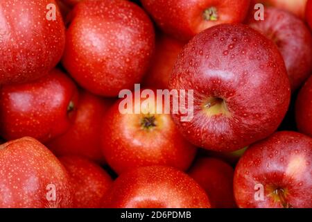 Red fuji apples. Healthy diet food concept. Top view. Close up. Stock Photo