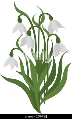 Petite snowdrops, illustration, vector on white background. Stock Vector
