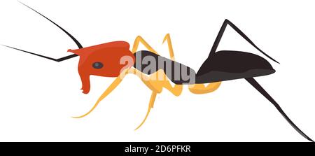 Weird ant, illustration, vector on white background Stock Vector
