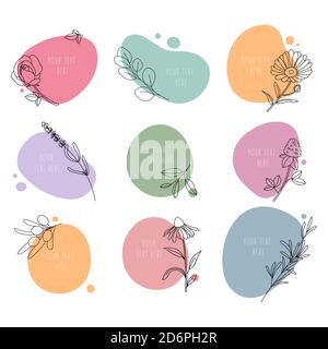 Set of medicinal plants.Line art.Contour Stock Vector