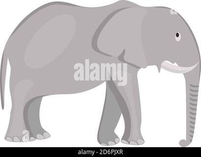 Gray elephant ,illustration, vector on white background. Stock Vector