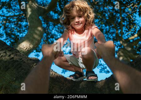 Father helping son climb a tree. Kid boy in forest climbing up tree in countryside. Fathers hand. Child protection. Stock Photo