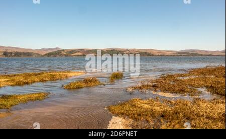 Costal view by Point Reyes shipwreck, an abandoned boat in Inverness California, Point Reyes National Seashore Stock Photo