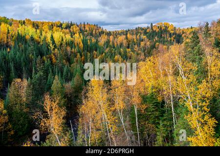 Fall foliage color at the Sleeping Giant Provincial Park, Thunder Bay, Ontario, Canada. Fall foliage color at the Sleeping Giant Provincial Park, Thunder Bay, Ontario, Canada.