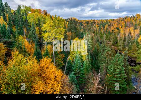 Fall foliage color at the Sleeping Giant Provincial Park, Thunder Bay, Ontario, Canada.