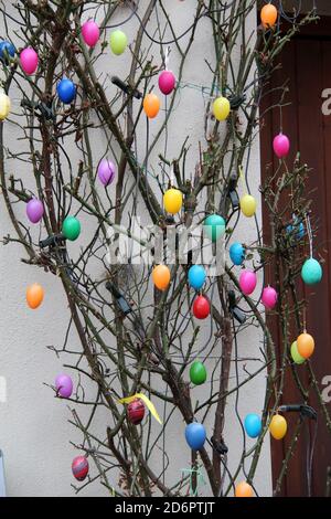 Vertical shot of colorful eggs hanging on a plant outside a house for the Easter holiday Stock Photo