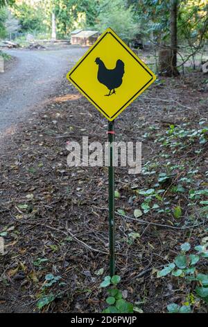 A road sign warns of chicken crossing Stock Photo