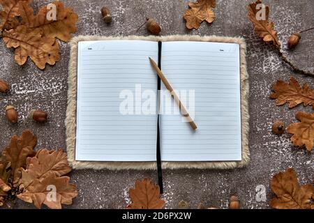 Autumn composition made of brown dried leaves and acorns on dark concrete background. Template mockup blank paper notebook. Fall, halloween. Flat lay Stock Photo