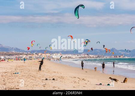 Tarifa surfing, Kitesurfing, Kiteboarding, Kiteboarders, Kitesurfers busy day at beach Los lances, Tarifa, Cadiz, Andalusia, Spain Stock Photo