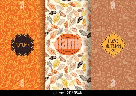 Set of Autumn seamless patterns. Floral background with Pumpkin and frames. Doodles. Hand drawn vector illustration. Stock Vector
